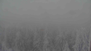 Sporthotel Kurzovní - Vysoké hole - 31.1.2026 v 10:00