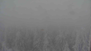 Sporthotel Kurzovní - Vysoké hole - 31.1.2026 v 12:00