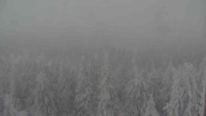 Sporthotel Kurzovní - Vysoké hole - 31.1.2026 v 13:00