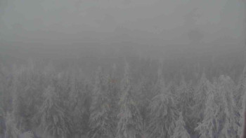 Sporthotel Kurzovní