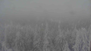 Sporthotel Kurzovní - Vysoké hole - 31.1.2026 v 14:30