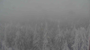 Sporthotel Kurzovní - Vysoké hole - 31.1.2026 v 15:00