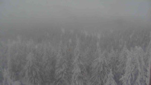 Sporthotel Kurzovní - Vysoké hole - 31.1.2026 v 15:30