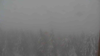 Sporthotel Kurzovní