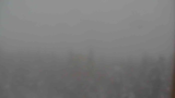 Sporthotel Kurzovní