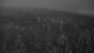 Sporthotel Kurzovní - Vysoké hole - 14.2.2026 v 06:30