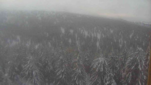 Sporthotel Kurzovní - Vysoké hole - 14.2.2026 v 07:30