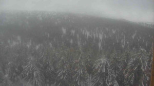 Sporthotel Kurzovní - Vysoké hole - 14.2.2026 v 08:00