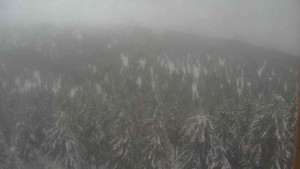 Sporthotel Kurzovní - Vysoké hole - 14.2.2026 v 09:30