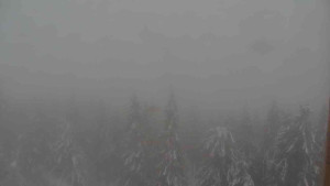 Sporthotel Kurzovní - Vysoké hole - 14.2.2026 v 10:30