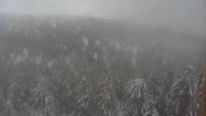 Sporthotel Kurzovní - Vysoké hole - 14.2.2026 v 11:30