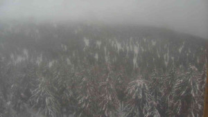 Sporthotel Kurzovní - Vysoké hole - 14.2.2026 v 12:00