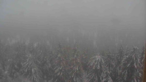 Sporthotel Kurzovní - Vysoké hole - 14.2.2026 v 15:00