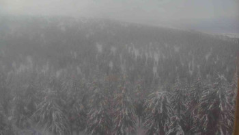 Sporthotel Kurzovní