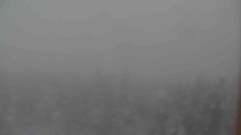 Sporthotel Kurzovní