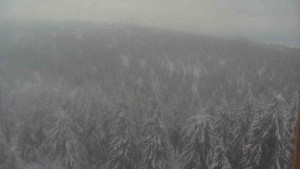 Sporthotel Kurzovní - Vysoké hole - 19.2.2026 v 09:30