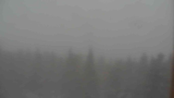 Sporthotel Kurzovní