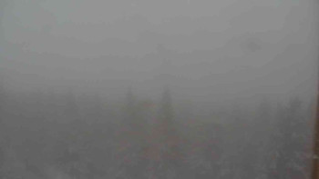 Sporthotel Kurzovní