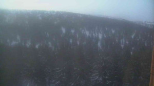 Sporthotel Kurzovní - Vysoké hole - 22.3.2026 v 05:30 Sporthotel Kurzovní - Vysoké hole - 22.3.2026 v 05:30