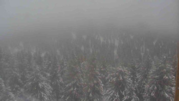 Sporthotel Kurzovní