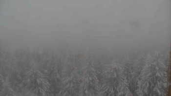 Sporthotel Kurzovní