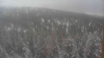 Sporthotel Kurzovní