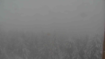 Sporthotel Kurzovní