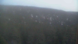 Vysoké hole