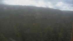 Vysoké hole