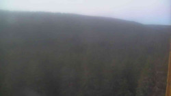 Vysoké hole