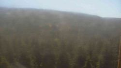 Vysoké hole