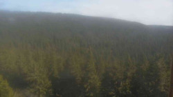 Vysoké hole