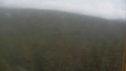 Vysoké hole