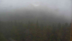 Vysoké hole
