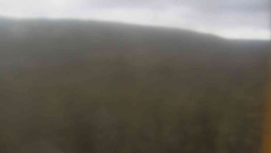 Vysoké hole