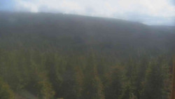 Vysoké hole