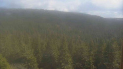 Vysoké hole