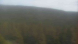 Vysoké hole