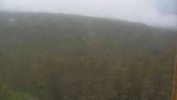 Vysoké hole