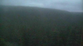 Hohe Stangen