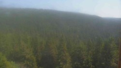Vysoké hole