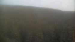 Vysoké hole