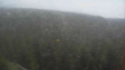 Hohe Stangen