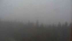 Hohe Stangen