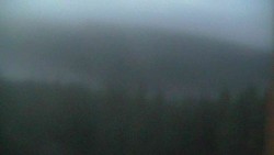 Hohe Stangen