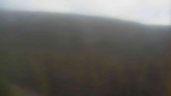 Vysoké hole