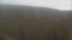 Vysoké hole