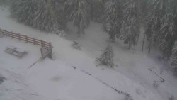 Přístup na běžeckou trať