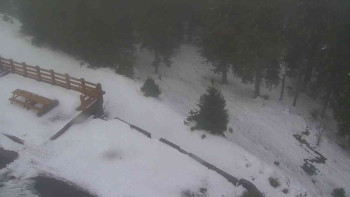 Snímek    29.10.2025 v 07:30