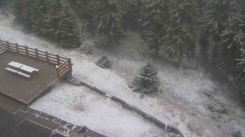 Snímek 17.11.2025 v 14:50